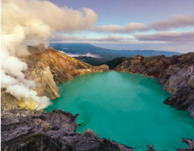 ENVIES BUISSONNIÈRES