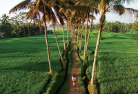 ENVIES BUISSONNIÈRES