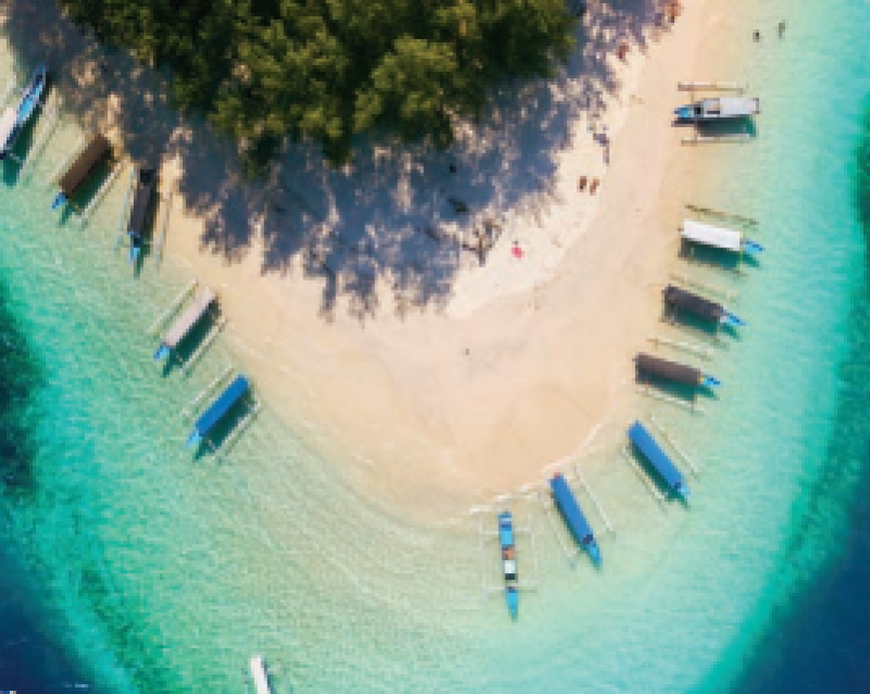 ENVIES BUISSONNIÈRES