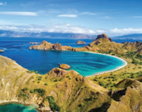 ENVIES BUISSONNIÈRES